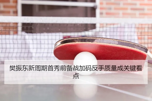 樊振东新周期首秀前备战加码反手质量成关键看点